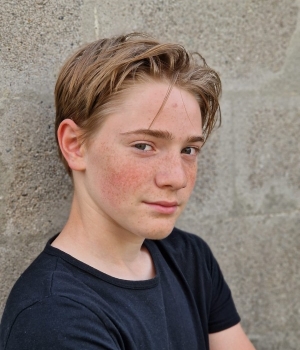Nava Ludovico